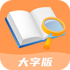 绚丽大字版官方APP