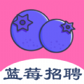 蓝莓招聘app最新版