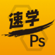 ѧPSAPP