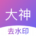 大神去水印APP