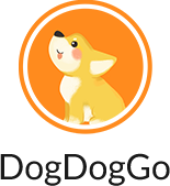 dogdoggoٷ°